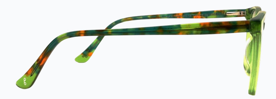 Optica 81008