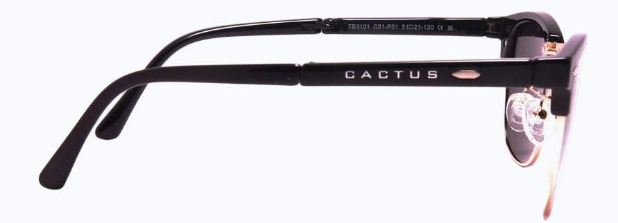 Cactus TB3101