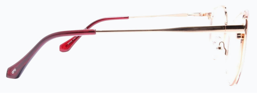 Optica 95608
