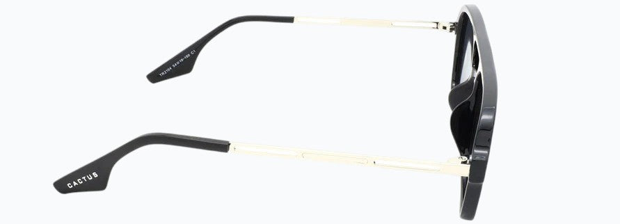 Cactus TR2104