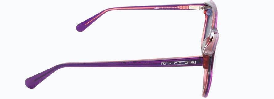 Cactus WD5004