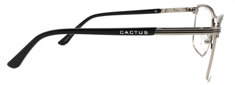 Cactus XC61031