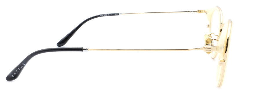 Cactus Cage