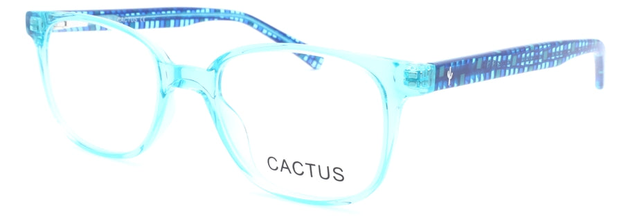 Cactus 021A154H