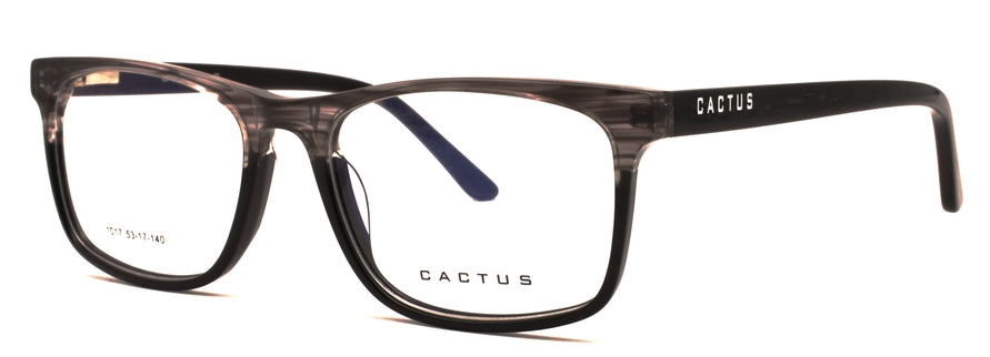 Cactus 1017