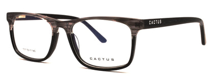 Cactus 1017