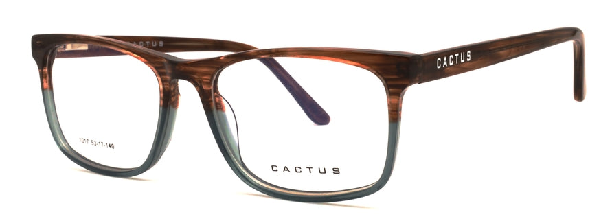 Cactus 1017