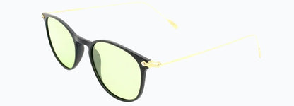 Cactus 17055