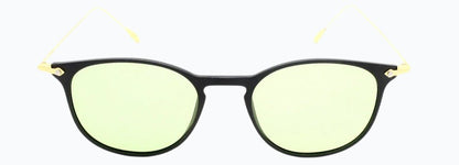Cactus 17055