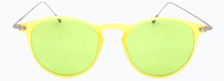 Cactus 17056