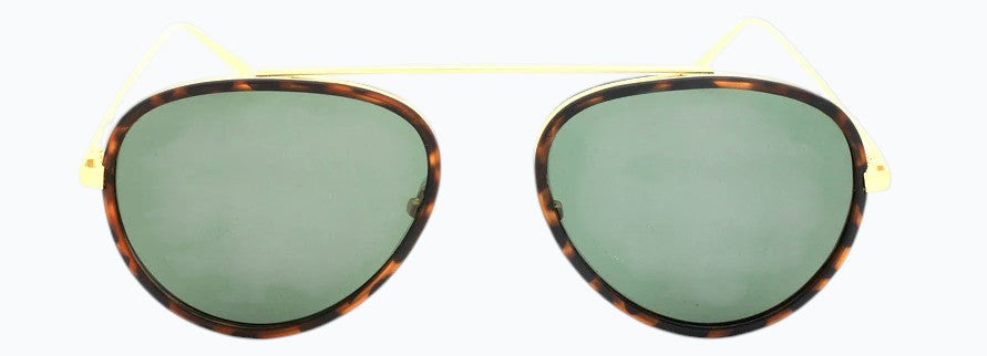 Cactus 17077