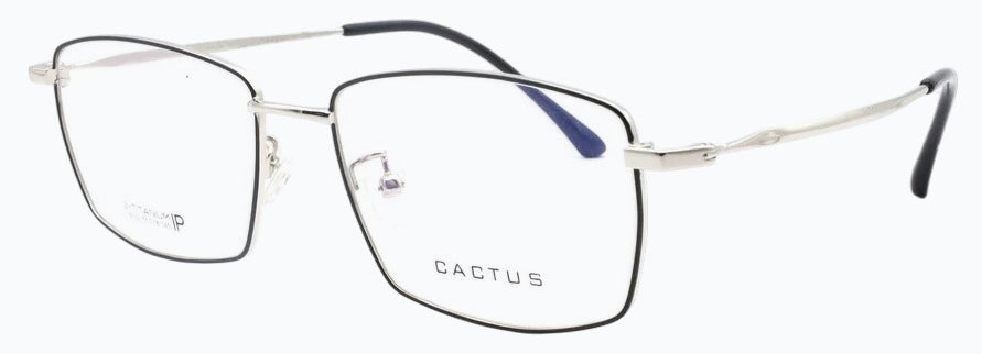 Cactus 18132