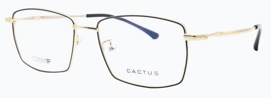 Cactus 18132