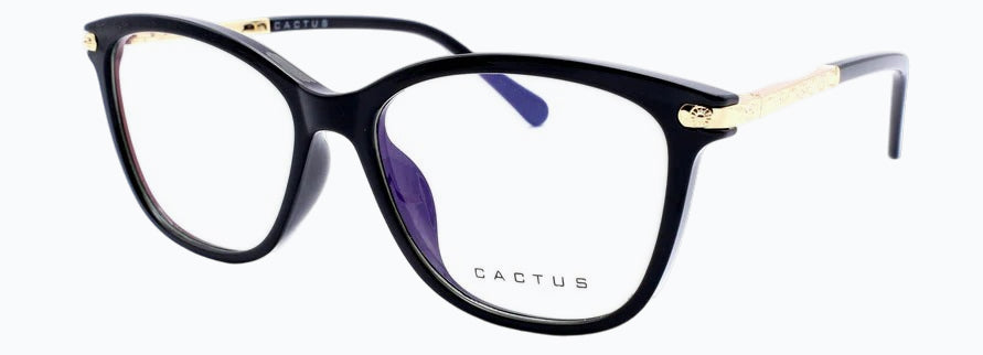Cactus 20203
