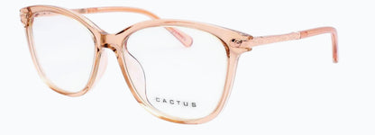 Cactus 20203