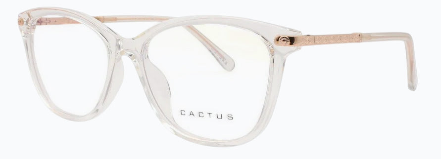 Cactus 20203