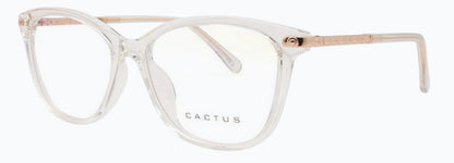 Cactus 20203