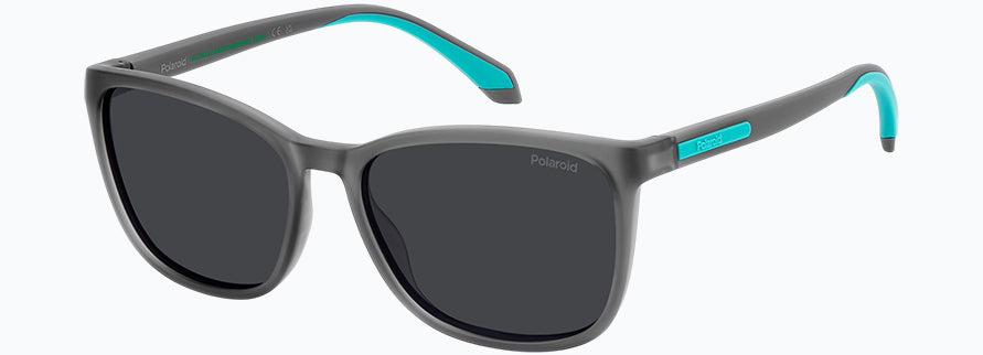 Polaroid Pld2169/S/X