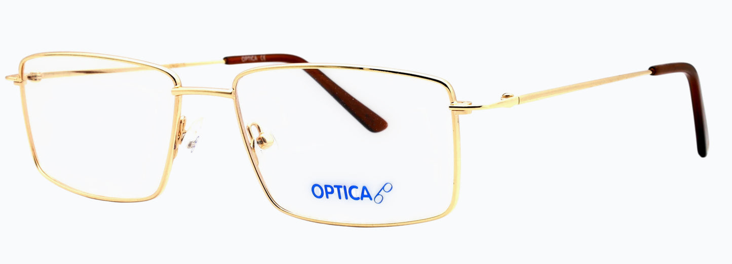Optica 314