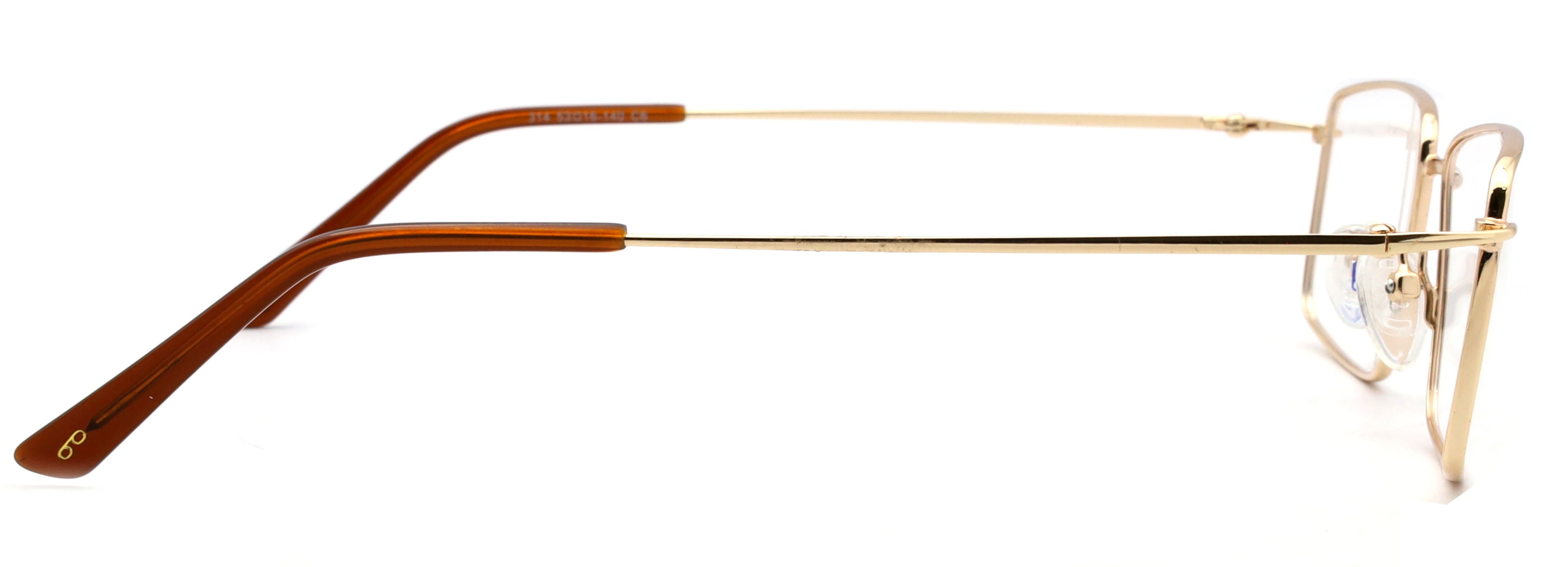 Optica 314