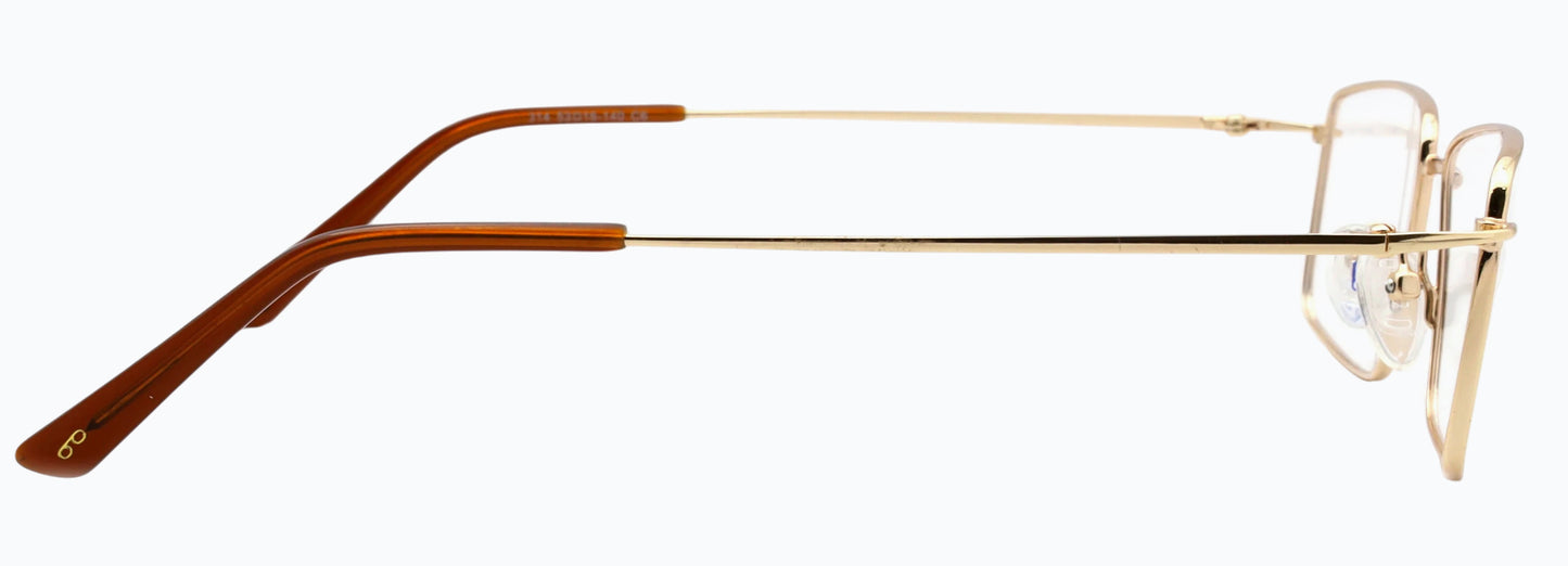 Optica 314