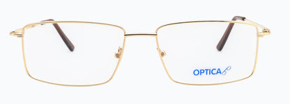 Optica 314