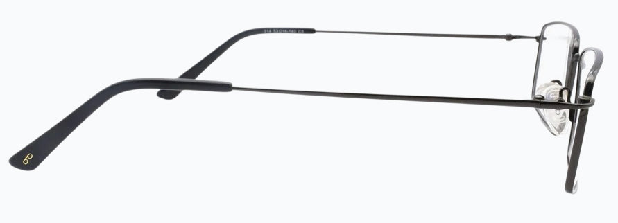 Optica 314
