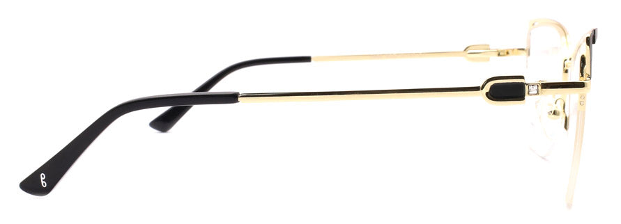 Optica 3956