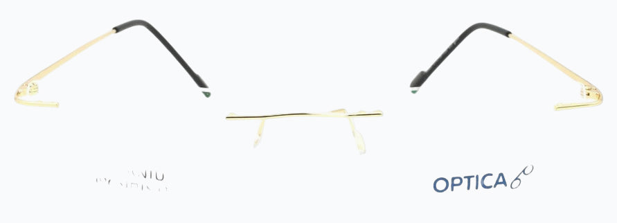 Optica 6026