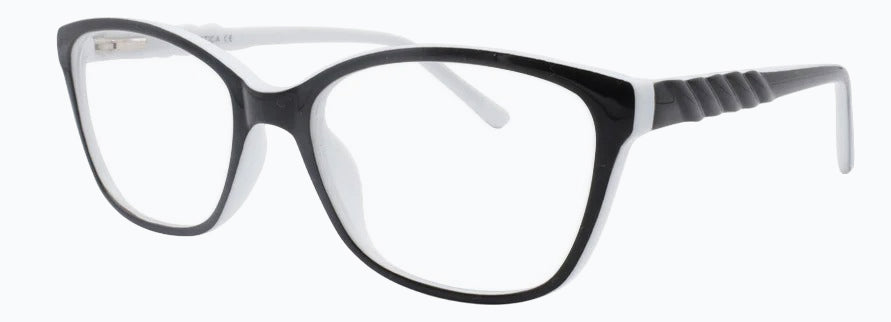 Optica 691