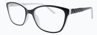 Optica 691