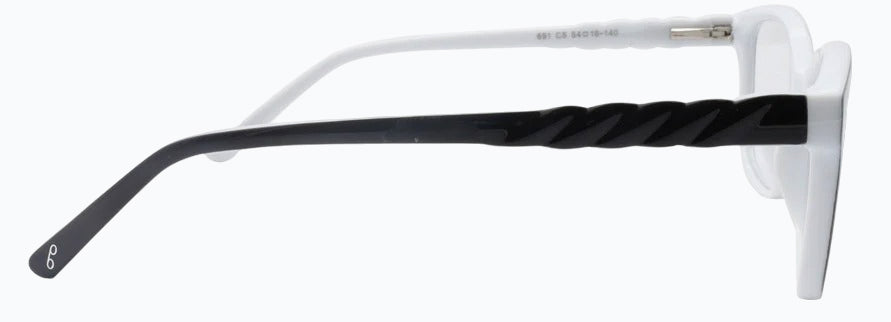 Optica 691