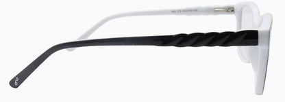 Optica 691