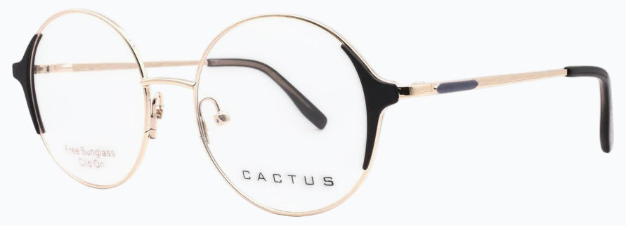 Cactus 69957
