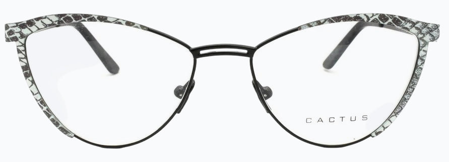 Cactus 8069-1