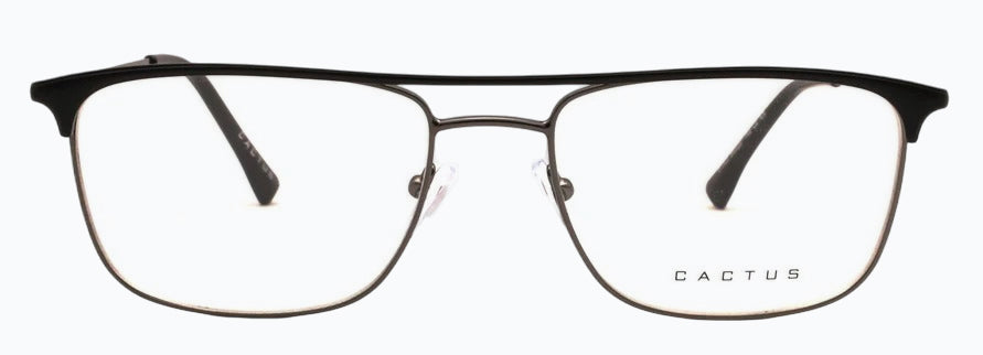 Cactus 81003