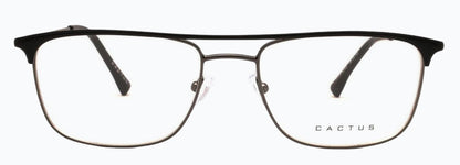 Cactus 81003