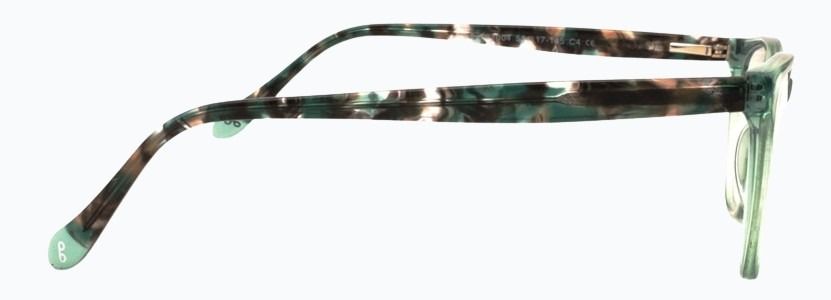 Optica 81004