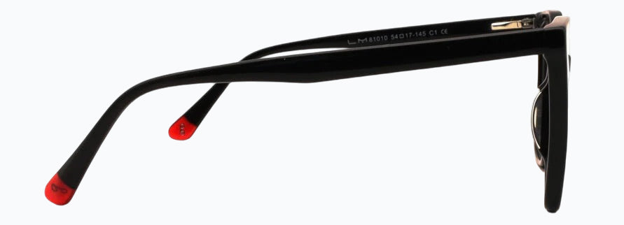 Optica 81010