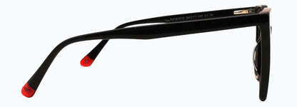 Optica 81010