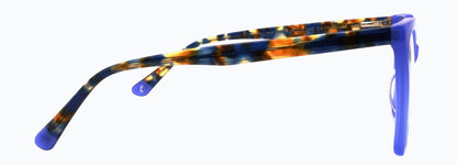 Optica 81010