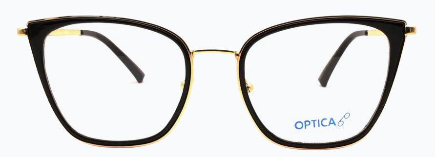 Optica 82013
