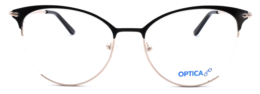 Optica 8289