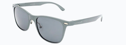Cactus 8559