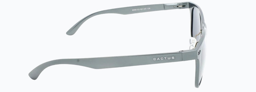 Cactus 8559