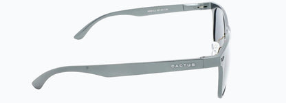 Cactus 8559