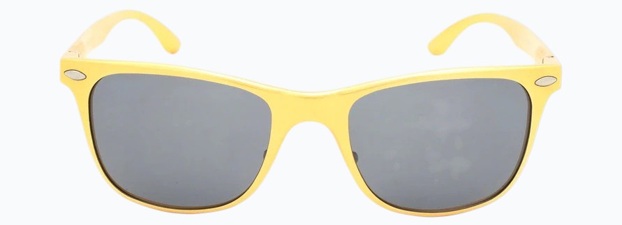 Cactus 8559
