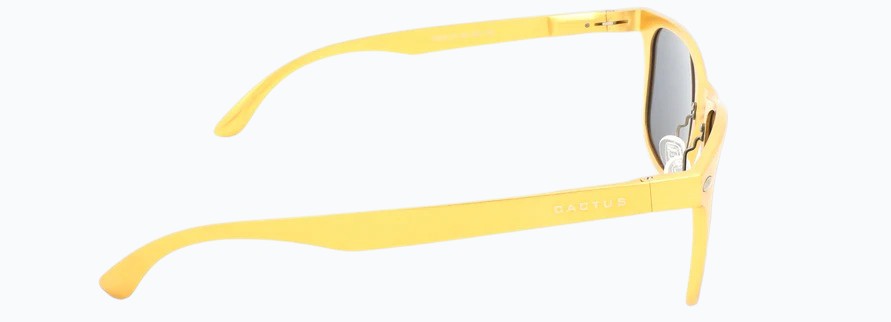 Cactus 8559
