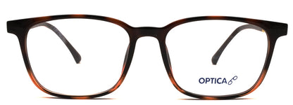 Optica 8804