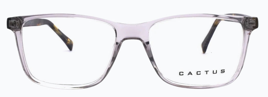 Cactus 883205